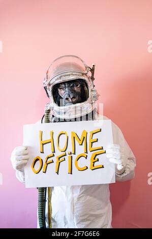 Man in gorilla mask and astronaut helmet holding a sign that says HOME OFFICE Stock Photo