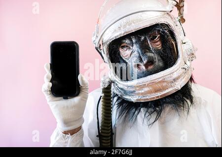 Man with gorilla mask and astronaut helmet with a smart phone Stock Photo