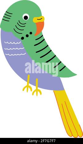 Cute flat budgerigars. Home Pet Vector bird Stock Vector