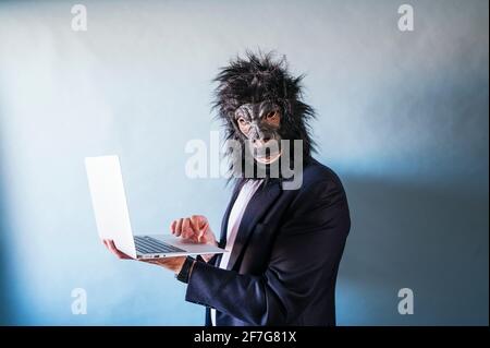 Man with gorilla mask using laptop Stock Photo