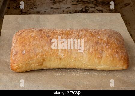 Freshly baked ciabatta on baking tray on table in bakery. Homemade baked. Italian Chiabata bread. Stock Photo
