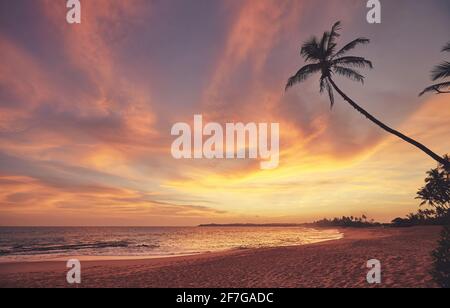 Tropical beach at a beautiful colorful sunset, Sri Lanka. Stock Photo