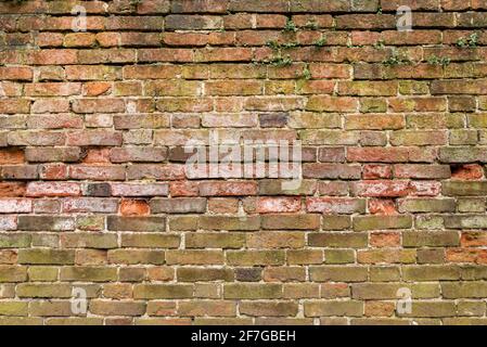 weathered and worn multicoloured Brick wall background variety of bricks brick wall made with old reclaimed bricks Stock Photo
