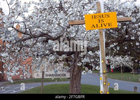Sharnbrook, Bedfordshire, England, UK - Village green in springtime with cherry tree blossom and Jesus is Alive cross placed by evangelical church Stock Photo