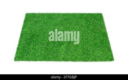 Green carpet grass isolated on white background. Stock Photo