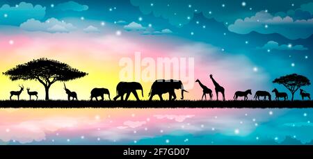 Silhouettes of wild animals of the African savannah. Beautiful sunset. Sky, stars, clouds. Stock Photo