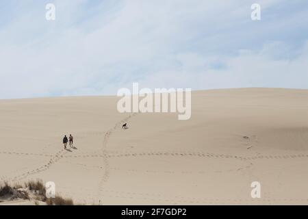 Two people and a dog hiking at John Dellenback dunes trail in the Oregon Dunes National Recreation Area in Reedsport, Oregon. Stock Photo