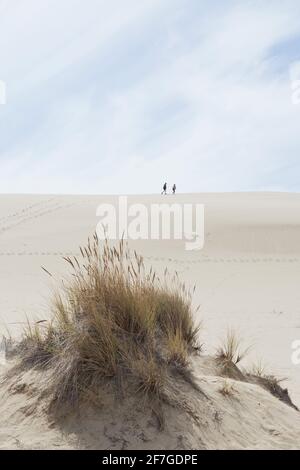 Two people hiking at John Dellenback dunes trail in the Oregon Dunes National Recreation Area in Reedsport, Oregon. Stock Photo