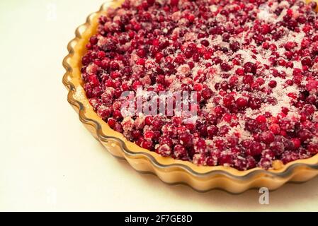 Close-up of ready-to-bake dough with sugar lingonberries laid out in a baking dish on white background. Stock Photo