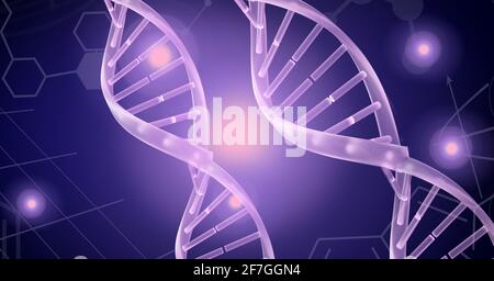 Dna structure and chemical structures against spots of light on purple background Stock Photo