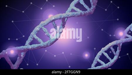Digitally generated image of dna structures against network of connections on purple background Stock Photo