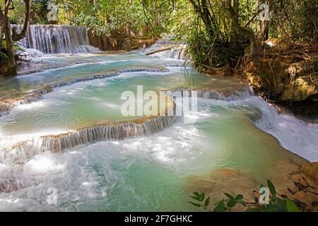 Kuang Si Falls / Kuang Xi Falls / Tat Kuang Si Waterfalls in the jungle near Luang Phabang / Luang Prabang, Laos Stock Photo