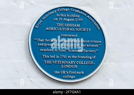 Blue plaque in Odiham, Hampshire, UK, commemorating the founding of The Royal Veterinary College, London Stock Photo