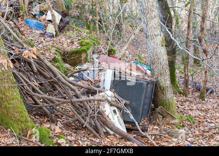 A large assortment of household aplliances and waste dumped in natural oak woodland in a forestry plantation, environmental pollution and fly tipping Stock Photo