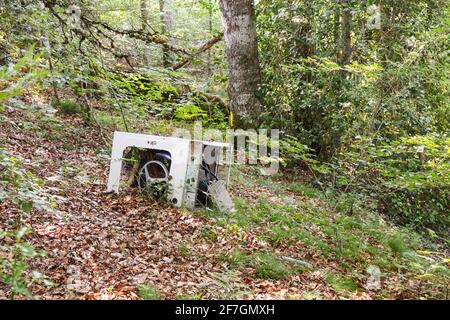 Fly tipping concept in pristine natural woodland with a dumped domestic washing machine amongst trees highlighting environmental issues and pollution Stock Photo