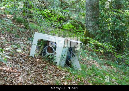 Old obsolete household washing machine dumped in pristine natural forest to pollute the environment - domestic fly tipping and pollution Stock Photo