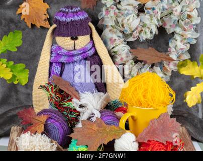 The knitted purple toy hare sits in tangles of threads and autumns. Stock Photo