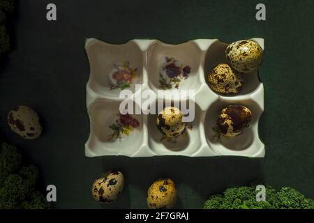 Spotted quail eggs in the white porcelain floral egg tray on a dark green background. Creative still life and raw photography. Stock Photo