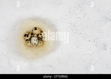 Three quail eggs in a nest on a white concrete background. Place for an inscription. Stock Photo