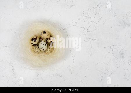 Three quail eggs in a nest on a white concrete background. Place for an inscription. Stock Photo