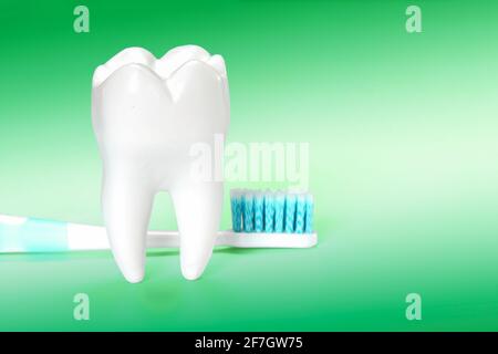 White big healthy tooth and toothbrush for dental care. On green gradient dental background. Stock Photo