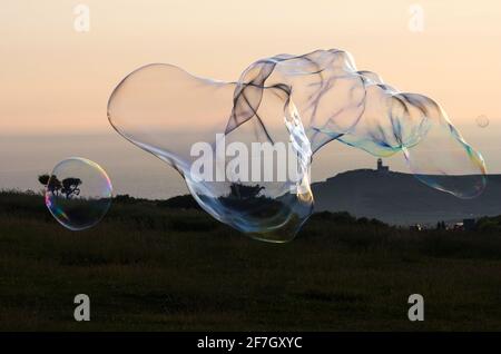 Giant soap bubble creature reflecting iridescent rainbow colours during sunset Stock Photo
