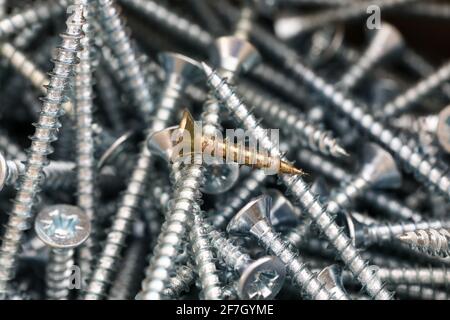 Universal silver screws of different sizes closeup Stock Photo