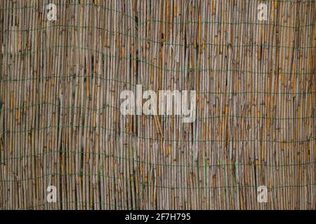 Fence made out of small bamboo straws, bound together with a small green rope. home garden bamboo decoration or shade. Stock Photo