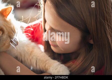 Girl with long hair and a white cat close-up. Pets concept Stock Photo