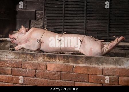 Pig on a metal rod is being prepared to be turned on a traditional balkan grill called rostilj or odojek. Fresh pig waiting on a grill. Stock Photo