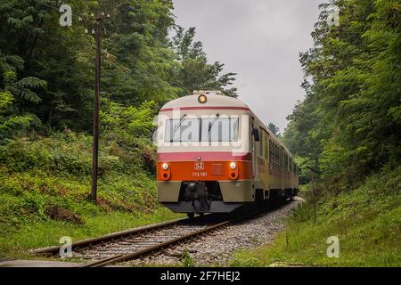 Commuter train in Slovenia in white, red, orange and yellow color rushing on a branch line towards the city of Metlika. Train going through a green fo Stock Photo