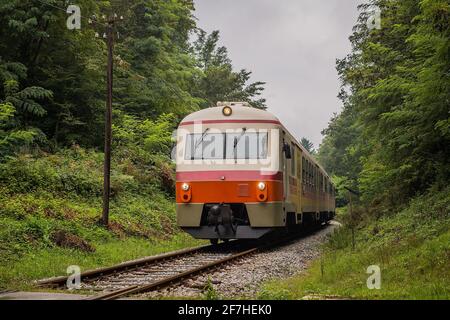 Commuter train in Slovenia in white, red, orange and yellow color rushing on a branch line towards the city of Metlika. Train going through a green fo Stock Photo