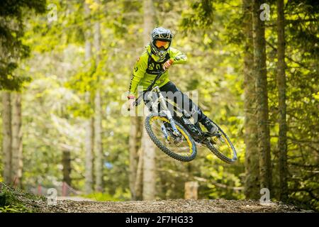 Frontal shot of a young mountainbiker jumping over a dirt jump in a bike park, surrounded by forest and trees. Green mountain biker in a green environ Stock Photo