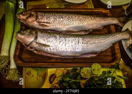 On a tray next to leeks,lemon wedges and green basil are two peeled pollock fish Stock Photo
