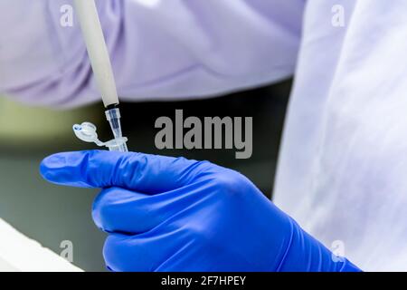 Scientist pipetting the sample into the tube while wearing protective gloves for vaccine research Stock Photo