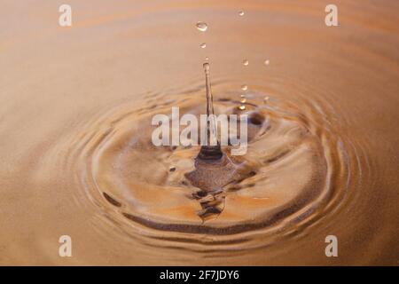 The drop hits the surface of the water, leaving behind splashes and circles. You can see the sand through the water. Background image. Close-up Stock Photo