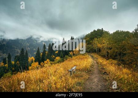 Autumn scenery of the forest in the mountain valley near Almaty, Kazakhstan Stock Photo