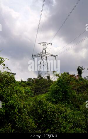 High voltage power lines above wheat field Stock Photo - Alamy