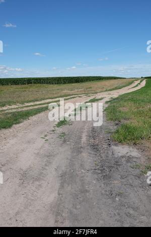 Long dirt road in a field under a blue sky. Scenery.