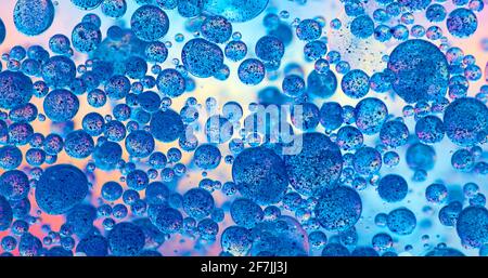 macro of oil drops and pigment on water surface with bright background Stock Photo