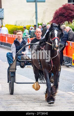 gypsy Romany men man leading horses and buggy pony trap during Appleby Horse fair Cumbria Stock Photo