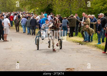 gypsy Romany men man leading horses and buggy pony trap during Appleby Horse fair Cumbria Stock Photo