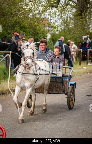 gypsy Romany men man leading horses and buggy pony trap during Appleby Horse fair Cumbria Stock Photo