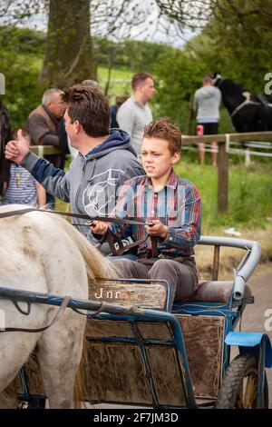 gypsy Romany men man leading horses and buggy pony trap during Appleby Horse fair Cumbria Stock Photo