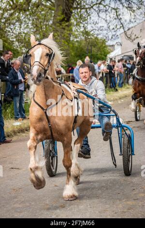 gypsy Romany men man leading horses and buggy pony trap during Appleby Horse fair Cumbria Stock Photo