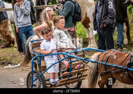 young children gypsy Romany  leading horses and buggy pony trap during Appleby Horse fair Cumbria Stock Photo