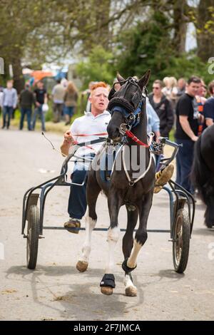 gypsy Romany men man leading horses and buggy pony trap during Appleby Horse fair Cumbria Stock Photo