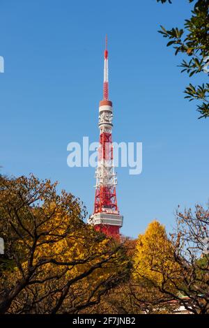 Tokyo, Japan - December 09, 2015: Tokyo Tower and autumn trees, view from the Shiba park . Stock Photo