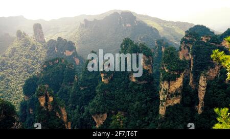 Green mounatins with river valley geomorgy in Zhangjiajie national forest park. Stock Photo