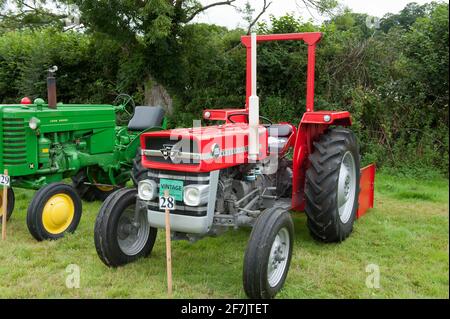 Vintage Red Massey Ferguson 135 Tractor at Chagford Agricultural Show Stock Photo